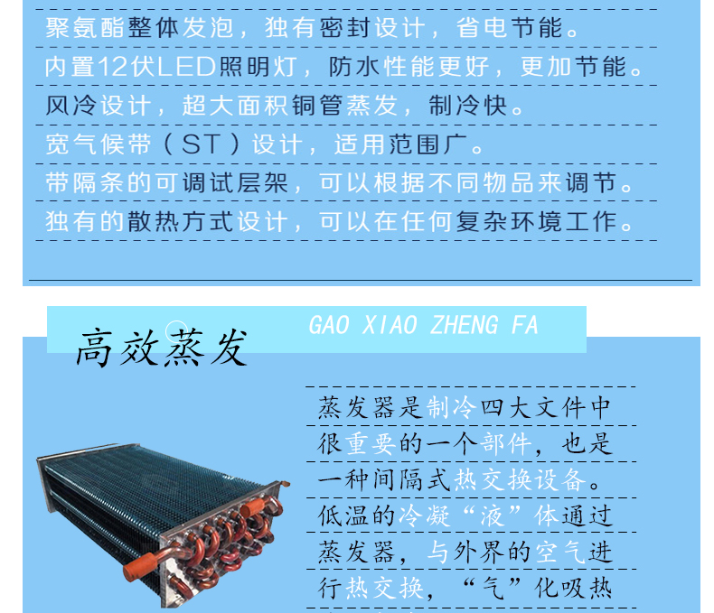 BA-2020W_06.jpg